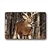 Produktbild DOUBEE Hirsch Deer Fussmatte Premium Schmutzmatte Türmatte aus Garten Nach Hause 60cm X 40cm