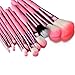 Glow 12 Makeup Brushes Set in Pink Crocodile Leather Design Case