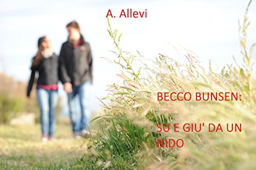 Alessandro Allevi - Becco Bunsen: su e giù da un nido (2016)