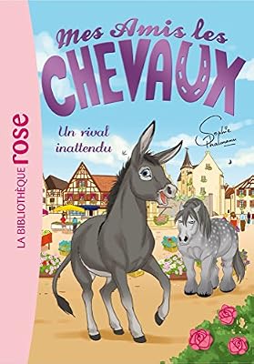 Hachette Jeunesse mes amis les chevaux sophie thalmann 04 - un rival inattendu