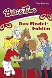 Cover zum Buch Bibi & Tina: Das Findelfohlen