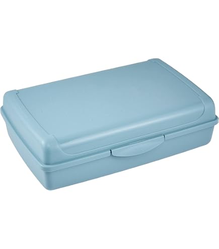 Rotho Memory B3 Lunchbox 1,1L Con Posate E Contenitore - Rosso, 19,5x19,5x6,5cm - 2