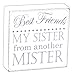 Produktbild Dekorative Best Friends My Sister von einem anderen Mister Holz Box Sign