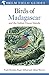 Produktbild Birds of Madagascar and the Indian Ocean Islands (Helm Field Guides)