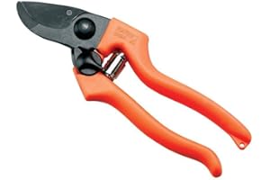 Ausonia - Forbice vigna professionale Patin 2 cm 19,5