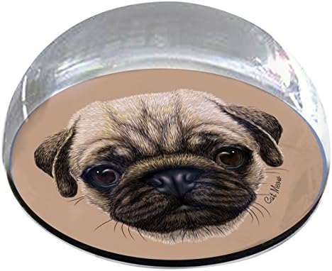 Forever Crystal "Pug Face" Pet Memorial Magnet