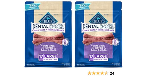 blue dental bones large