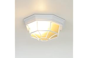 Licht-Erlebnisse Plafonnier extérieur en aluminium et verre blanc, IP44, pour balcon et terrasse, L:27 cm, E27 max. 60 W, rustique, MILANO