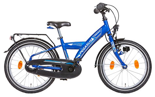 Pegasus Stern Leo 3N 18“ Y-Typ lightblue 2016