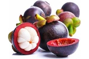 LAMPHLE 10 Unids Nutritiva Reina de Fruta Tropical Dulce Mangostán Semillas Jardín Planta Flor Árbol Frutal Semillas Vegetales Semillas de mangostán