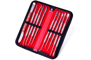 VIGAN Juego de 10 herramientas de tallado de cera para laboratorio dental, para esculpir arcilla, cerámica, herramienta de escultura de dentista quirúrgica