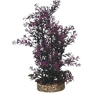 Haquoss PHYTOS, 23, 9x 9x 30h cm