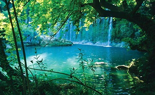 Welt-der-Träume | Photo Wallpaper Wall Mural 130gsm Non-Woven | Mysterious Turquoise Lake | VEM (104cm. x 70,5cm.) | 1783VEM-AW | Nature Plants Waterfall Water Ropes Leaf Bay