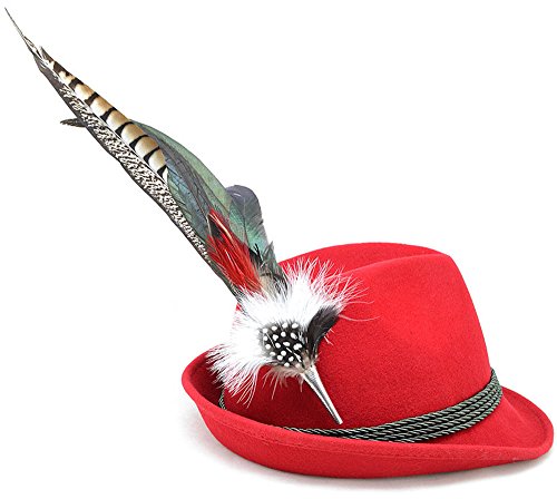 Preisvergleich Produktbild Bavariashop Federschmuck, Hahnenfeder, Fasanenfedern, Gemischt Rot, Trachtenschmuck, Hutfeder, 41 - 43 cm lang