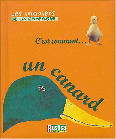 couverture de : C'est comment un canard
