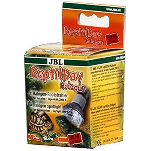 JBL ReptilDay Halogen 61842 Halogen-Spotstrahler mit Tageslicht-Vollspektrum, E27, 50 W