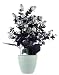 JaipurCrafts Premium Forever Collection Artificial Flowers with Pot RS.499.00