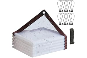 MINGPINHUIUS Telone trasparente con occhielli, in PVC, impermeabile, protezione contro la pioggia, il vento, il sole, per balcone, giardino, serra (2 m x 4 m)