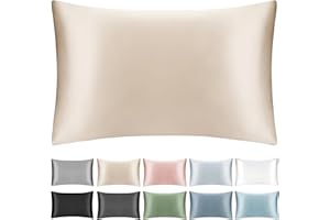 SILKTALE 100% Mulberry Silk Toddler/Travel Pillowcase,Both Sides 19MM Small Silk Pillow Case with Hidden Zipper for Kids/Baby 1pc,Beige,13"x18"