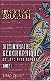 Image de Dictionnaire géographique de l'ancienne égypte contenant par ordre alphabétique la nomenclature comparée des noms propres géographiques qui se re