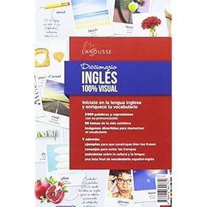 Diccionario de inglés 100% visual (Larousse - Diccionarios Visuales)