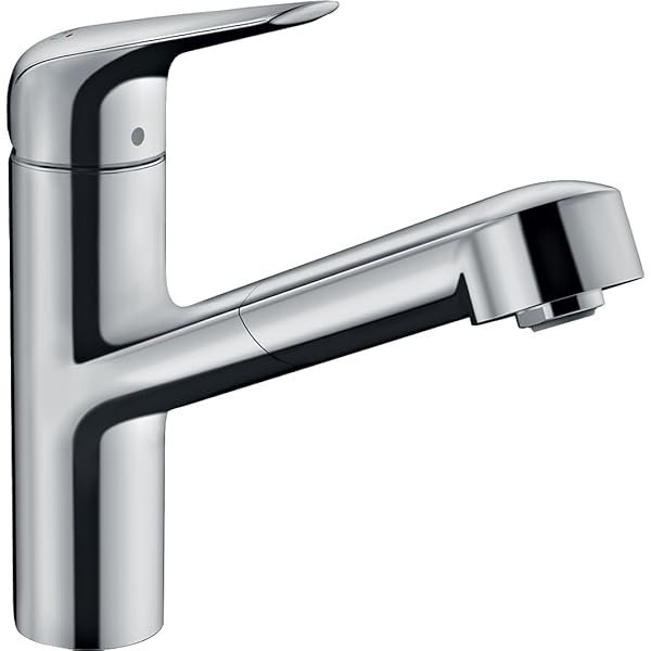 hansgrohe Küchenarmatur Focus M42, Wasserhahn Küche mit Auslauf 