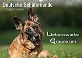 Deutsche Schäferhunde - Liebenswerte Graunasen (Wandkalender 2016 DIN A3 quer): Schäferhunde - auch sie werden älter .... (Monatskalender, 14 Seiten) (CALVENDO Tiere) by 