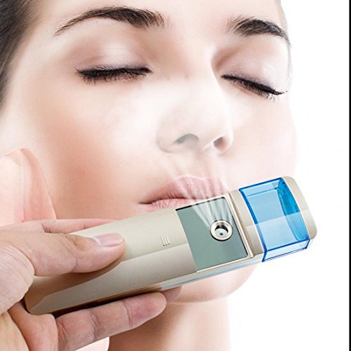 Denshine Portable USB Charging Atomization Facial Moisturizing Nano Mist Spray