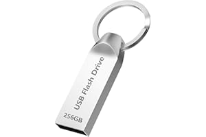 Chiavetta USB 256GB, Poxfun Velocità Veloce Pen Drive 3.0 Grande Capacità Pendrive Argento USB con Portachiavi, utilizzato per Foto/Video/File