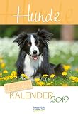Hunde (2-Wo.) 236819 2019: Literarischer 2-Wochenkalender * 2 Wochen 1 Seite * literarische Zitate und Bilder * 16,5 x 24 cm by 