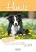 Hunde (2-Wo.) 236819 2019: Literarischer 2-Wochenkalender * 2 Wochen 1 Seite * literarische Zitate und Bilder * 16,5 x 24 cm by 