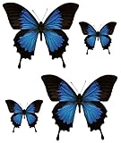 Akachafactory Set 4X Autocollant Sticker Voiture Moto Deco Papillon Bleu Noir frigo