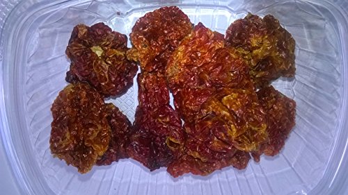 Trinidad Scorpion Moruga - 8 Getrocknete Früchte - (Die zweit schärfste Chili der Welt) mit 2.000.000 Scoville "Weltrekord 2012"