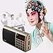 Produktbild Rolton T50 Tragbare Welt Band FM/MW / SW Stereo Radio Lautsprecher Mp3 Musik-Player (Farbe: Golden)