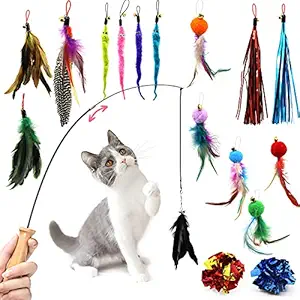 Feather Teaser Cat Toy, Retractable Cat Wand Toy Set 18pcs Assorted Teaser Refills with Bell, Including Bird Feather, Squiggly Worm, Crinkle Balls for Indoor Kitty Interactive Teather Fishing Pole Toy