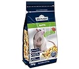 Dehner Premium Nagerfutter für Ratten