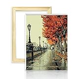 Geeignet für Anfänger, um das Malen zu üben, ein tolles Geschenk für Ihre Familie oder Freunde. Sobald es fertig ist, kann es auch eine tolle Dekoration für Ihr Zuhause sein