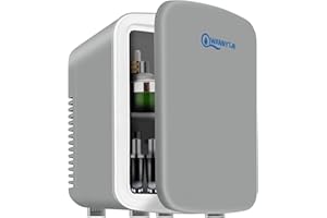 WANNYTON Mini lodówka 4 l, mała przenośna lodówka, lodówka na kosmetyki, urocza lodówka, funkcja chłodzenia lub grzania, do biura, sypialni, samochodu, podróży, 220/12 V, szara, 24,5 x 18,5 x 27 cm