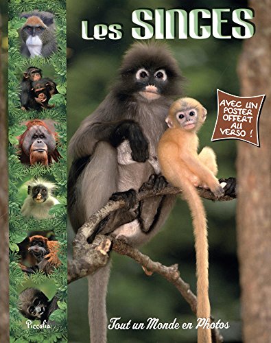 <a href="/node/32936">Les singes</a>