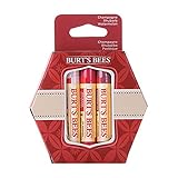 Burt's Bees Kissable Colour Gift Set