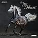 The Magic of Horses 2015 (Wonderful World) by