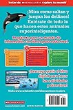 Image de SPA-LECTOR DE SCHOLASTIC EXPLO (Lector De Scholastic Explora Tu Mundo / Scholastic Discover More Readers)