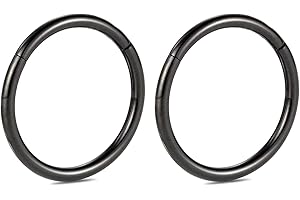 hengkaixuan 2Pcs G23 Titanium 20G 18G 16G 14G 12G 10G 8G Hinged Segment Ring Hoop Earrings Seamless Clicker Ring Cartilage Helix Lip Tragus Septum Nose Ring Hoop Sleeper Ring Body Piercing Jewellery