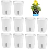 Set of 10 Self-Watering Flower Pots Self-Watering Pot with Water Level Indicator Watering Pot Herb Pot Watering System for Indoor and Outdoor Use 7.5 cm