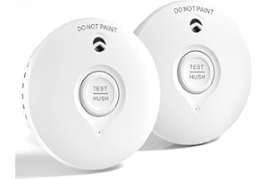 RUAN Rauchmelder 10 Jahre Batterie | Feuermelder für Zuhause Brandmelder mit Stummschaltung und Selbsttest Funktion Fotoelektrischem Sensor, Q-Zertifiziert DIN EN14604, 2 Stück