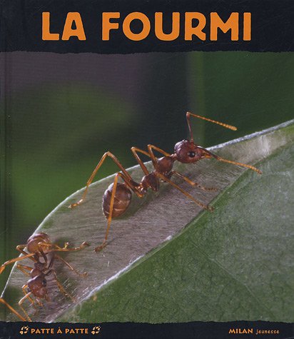 Télécharger La Fourmi Livre PDF Gratuit