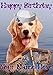 Produktbild Golden Retriever Hund hs172 Süße Hello Sailor Fun Happy Birthday A5 personalisierbar Grußkarte geschrieben von uns Geschenke für alle 2016 von Derbyshire UK