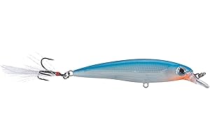 Rapala X-Rap jerkbait 06 esche da pesca