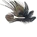 Tinksky Peacock Feather Decor Hair Clip Hair Pin Hair Accessories