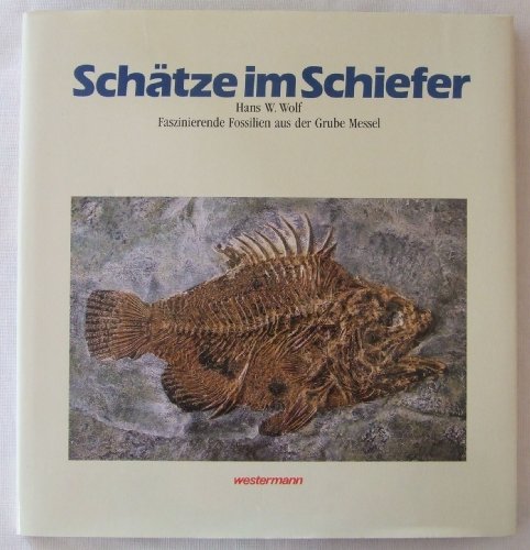 Schätze im Schiefer. (6534 600). Faszinierende Fossilien aus der Grube Messel
